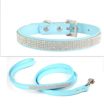 Pet+ presents Exclusive Leather Collar & Leash Combo | Pet Accessories | Pet Fashion