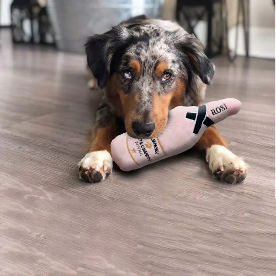 Pet+ presents Pet Beverage | Dog and Cat Toy | Whiskey | Beer | Champagne | Latte | Perfume