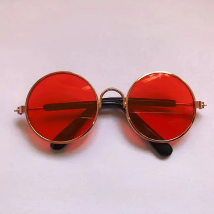 Pet+ presents Dog Sunglasses | Pet Accessories | Pet Fashion | Dog Fashion