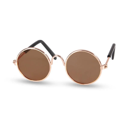 Pet+ presents Cat Sunglasses | Pet Accessories | Pet Fashion | Cat Fashion