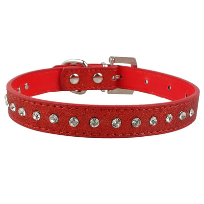 Pet+ presents Leather Collars for small pets | Pet Collars | Pet Fashion