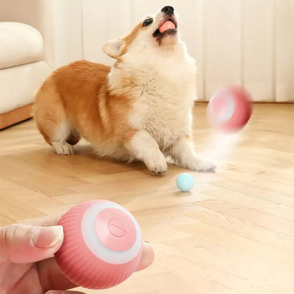Pet+ presents Smart Rolling Ball | Cat and Dog Toys | Auto Rolling Ball | Self Moving Ball | Pet Accessories