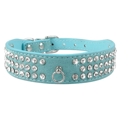 Pet+ presents Leather Collars for small pets | Pet Collars | Pet Fashion