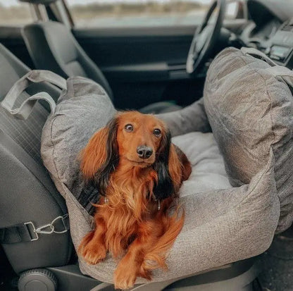 Pet+ presents Premium Travel Bed | Pet Accessories | Pet Supplies | Pet Travel