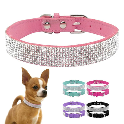 Pet+ presents Leather Collars for small pets | Pet Collars | Pet Fashion