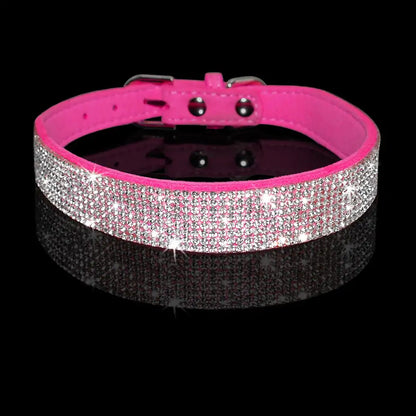 Pet+ presents Exclusive Leather Collar & Leash Combo | Pet Accessories | Pet Fashion