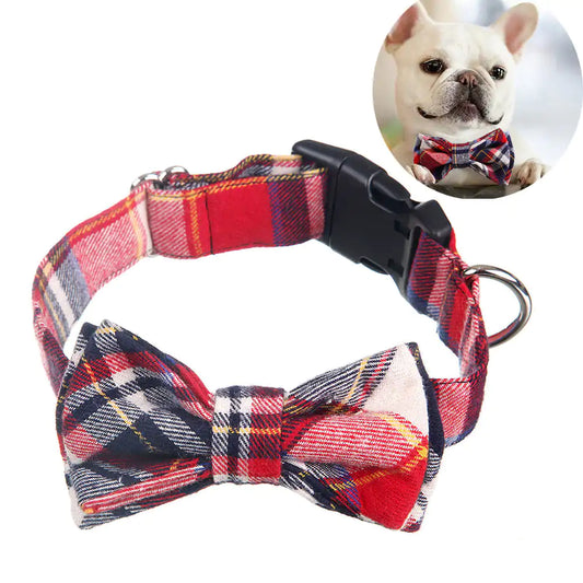 Pet+ presents Bow Tie Collars | Dog Collars