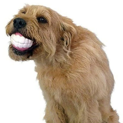 Pet+ presents Teeth Ball | Dog and Cat Toy