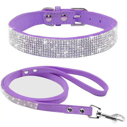 Pet+ presents Exclusive Leather Collar & Leash Combo | Pet Accessories | Pet Fashion