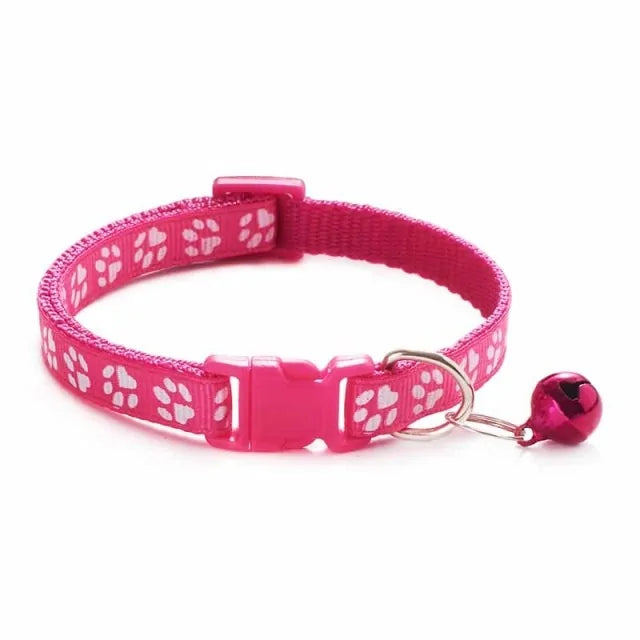 Pet+ presents Bells Collars | Cat Collars