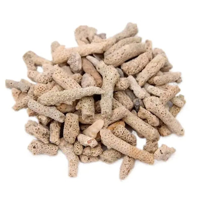 Pet+ presents Aquarium Filter Bundle | Aquarium Accessories