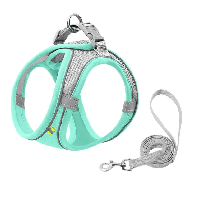 Pet+ presents Escape Proof Small Pet Harness Leash Set | Pet Leash | Small Dog Leash | Cat Leash | Pet Accessories