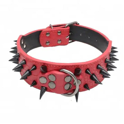 Pet+ presents Spiked Studded Leather Collars | Collars for Dogs and Cats | Pet Fashion