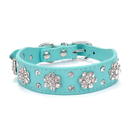Pet+ presents Leather Collars for small pets | Pet Collars | Pet Fashion