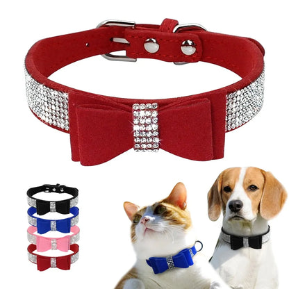 Pet+ presents Leather Collars for small pets | Pet Collars | Pet Fashion