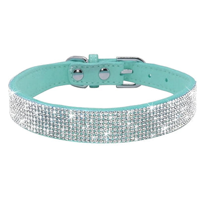 Pet+ presents Leather Collars for small pets | Pet Collars | Pet Fashion