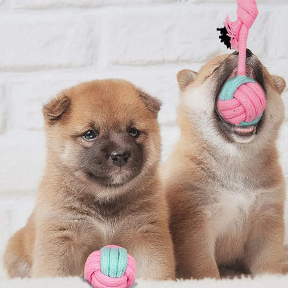 Pet+ presents Chew Ropes | Pet Chew Toy