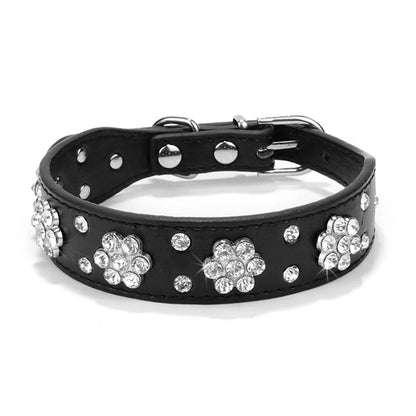 Pet+ presents Leather Collars for small pets | Pet Collars | Pet Fashion
