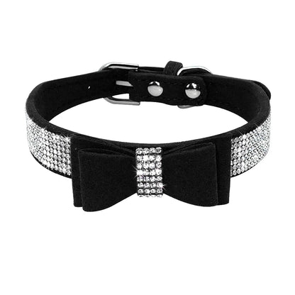 Pet+ presents Leather Collars for small pets | Pet Collars | Pet Fashion