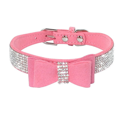 Pet+ presents Leather Collars for small pets | Pet Collars | Pet Fashion