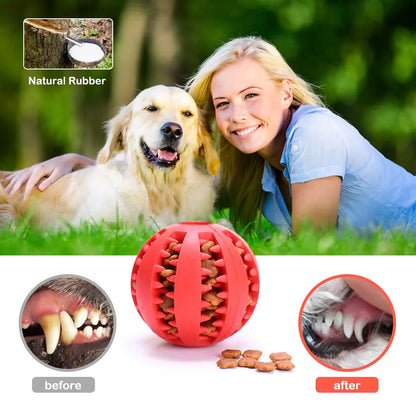 Pet+ presents Rubber Balls | Interactive Chewing Toys