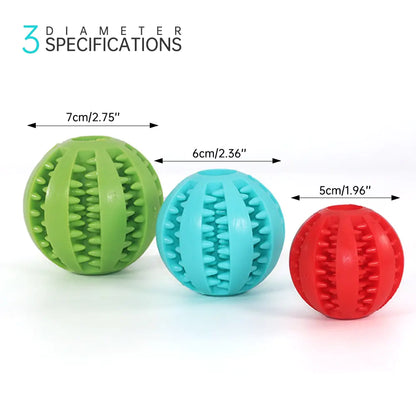 Pet+ presents Rubber Balls | Interactive Chewing Toys