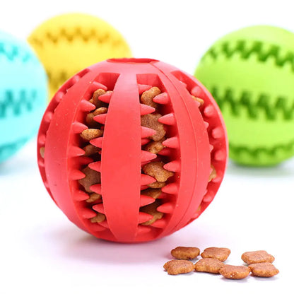 Pet+ presents Rubber Balls | Interactive Chewing Toys