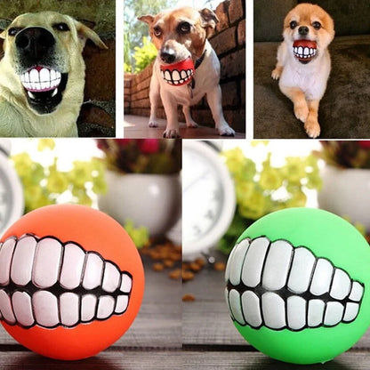 Pet+ presents Teeth Ball | Dog and Cat Toy