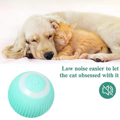 Pet+ presents Smart Rolling Ball | Cat and Dog Toys | Auto Rolling Ball | Self Moving Ball | Pet Accessories