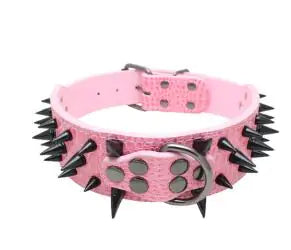 Pet+ presents Spiked Studded Leather Collars | Collars for Dogs and Cats | Pet Fashion