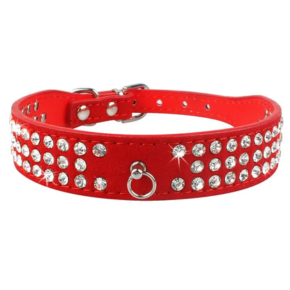 Pet+ presents Leather Collars for small pets | Pet Collars | Pet Fashion