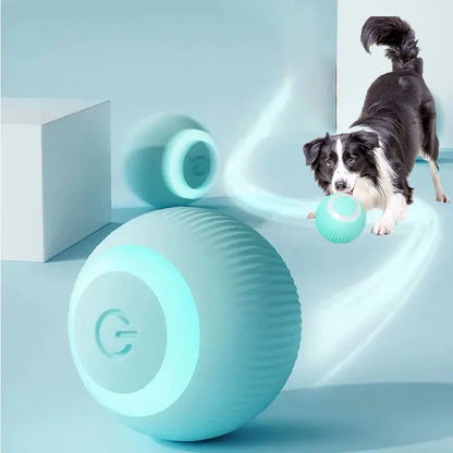 Pet+ presents Smart Rolling Ball | Cat and Dog Toys | Auto Rolling Ball | Self Moving Ball | Pet Accessories