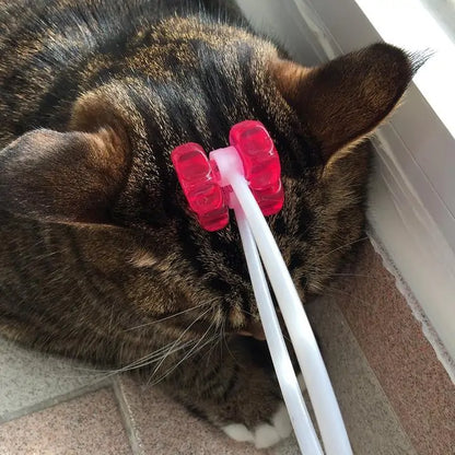 Pet+ presents Massager | Pet Well-being | Pet Accessories | Pet Supplies