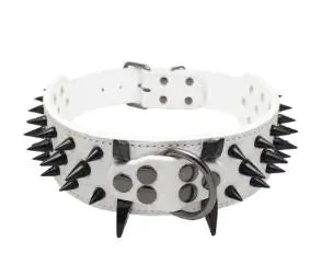 Pet+ presents Spiked Studded Leather Collars | Collars for Dogs and Cats | Pet Fashion