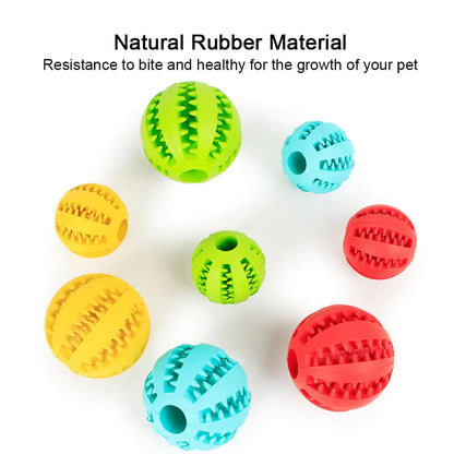 Pet+ presents Rubber Balls | Interactive Chewing Toys
