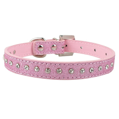 Pet+ presents Leather Collars for small pets | Pet Collars | Pet Fashion