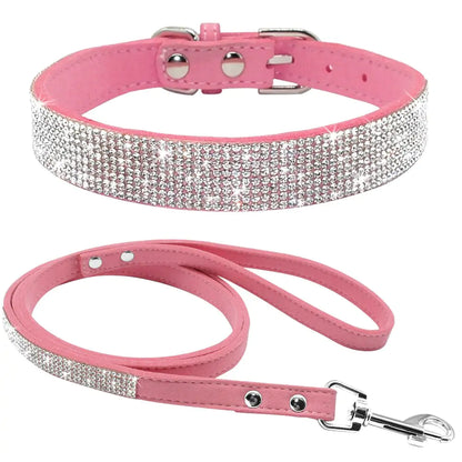 Pet+ presents Exclusive Leather Collar & Leash Combo | Pet Accessories | Pet Fashion