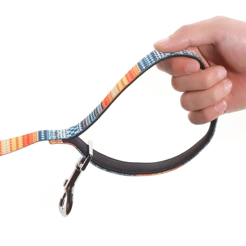 Pet+ presents Dog Leash | 4.5m 6m 9m 15m | Pet Accessories | Dog Accessories | Pet Care