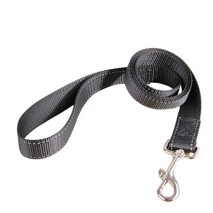 Pet+ presents Retractable Dog Leash | 3 Meter | 5 Meter