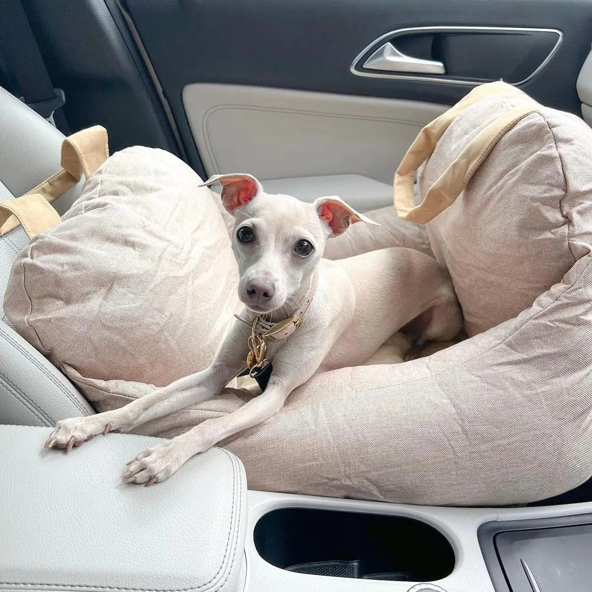 Pet+ presents Premium Travel Bed | Pet Accessories | Pet Supplies | Pet Travel