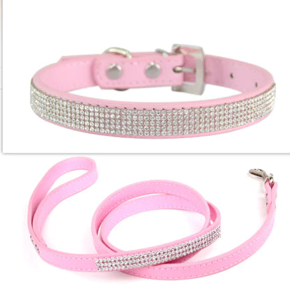 Pet+ presents Exclusive Leather Collar & Leash Combo | Pet Accessories | Pet Fashion