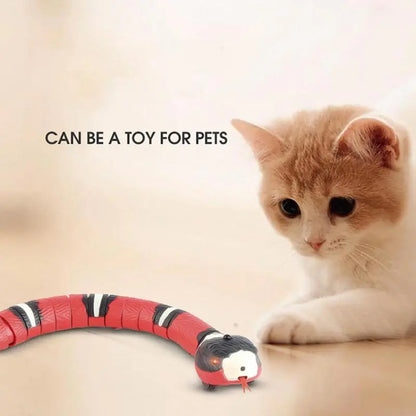 Pet+ Smart Snake | Automatic Cat Toys | Interactive Electric Smart Toys