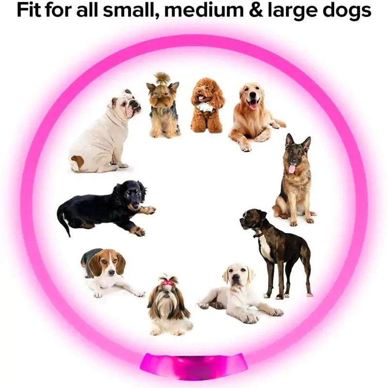 Pet+ presents LED Dog Collars | Pet Accessories | Waterproof Dog Collar
