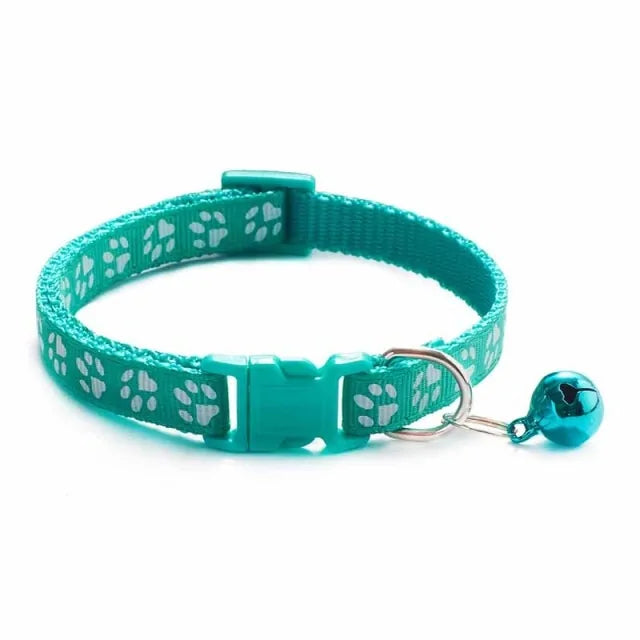 Pet+ presents Bells Collars | Cat Collars