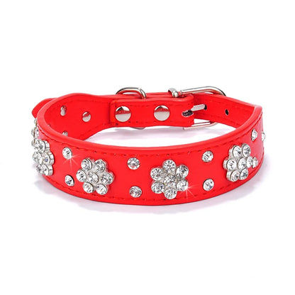 Pet+ presents Leather Collars for small pets | Pet Collars | Pet Fashion