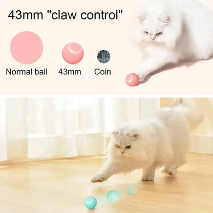 Pet+ presents Smart Rolling Ball 2.0 | Cat and Dog Toys | Auto Rolling Ball | Self Moving Ball | Pet Accessories