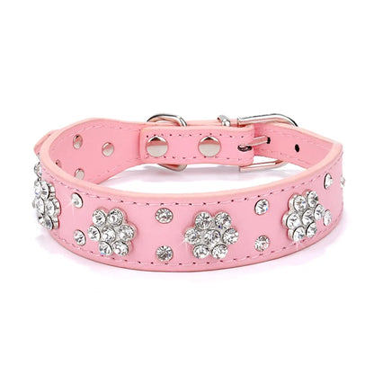 Pet+ presents Leather Collars for small pets | Pet Collars | Pet Fashion