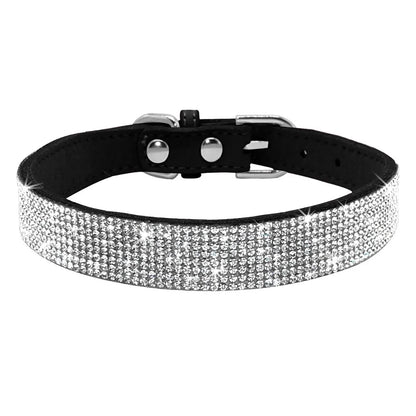 Pet+ presents Leather Collars for small pets | Pet Collars | Pet Fashion