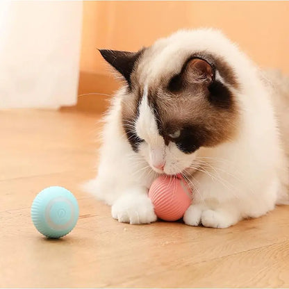 Pet+ presents Smart Rolling Ball | Cat and Dog Toys | Auto Rolling Ball | Self Moving Ball | Pet Accessories