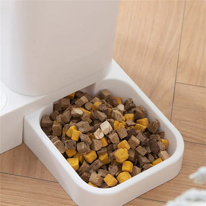 Pet+ presents Auto-Feeder | For Cat and Small Dogs, Pups
